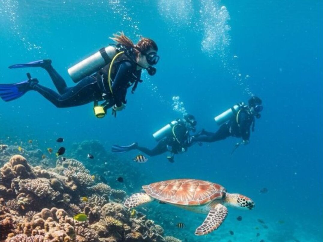 buceo rincon del mar dive padi excursion