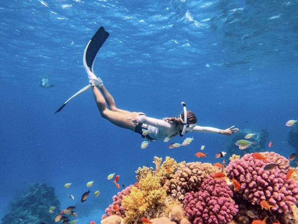 Snorkeling en Paraíso Caribeño
Explora aguas cristalinas entre corales y peces multicolores. Nada junto a meros, morenas, tortugas y rayas en una excursión guiada llena de magia y emoción. RINCON DEL MAR ecotours excursion